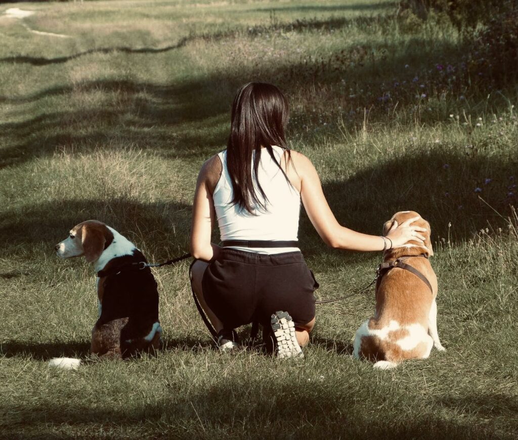 jegardevotreanimal-petsitter-garde-animaux-bourges-berry-cher-2