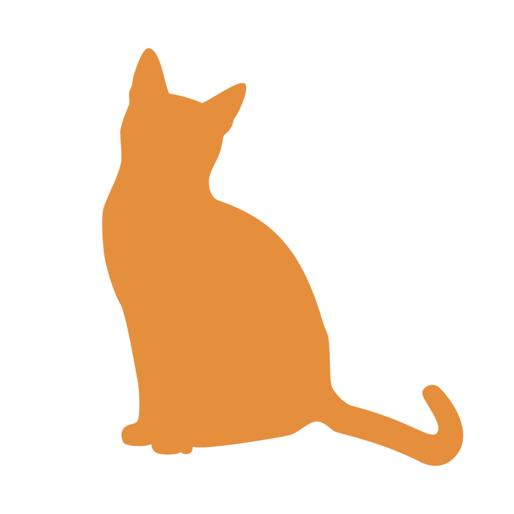 petsitter-garde-animaux-bourges-berry-jegardevotreanimal-animhome-chat