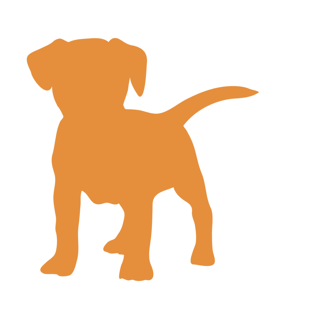 petsitter-garde-animaux-bourges-berry-jegardevotreanimal-animhome-1-11