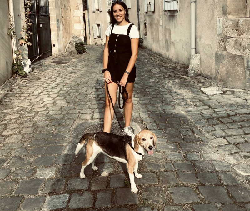 jegardevotreanimal Balade exploration de quartier promenade-de-vos-chiens