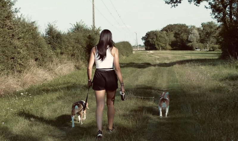 jegardevotreanimal-petsitter-garde-animaux-bourges-berry-cher-4